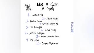 Jamais Vu - Mesth | Not A Gain , A Pain