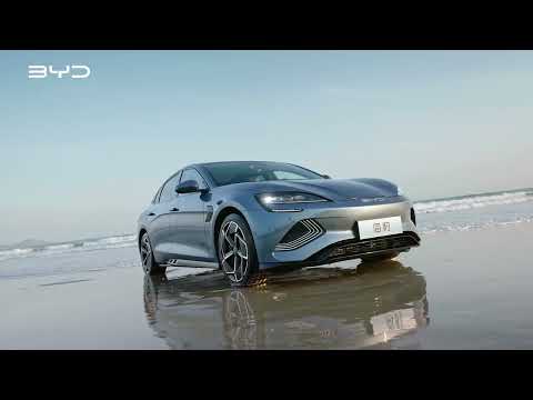 Meet the BYD