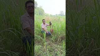 দাঁতের যত্ন কিভাবে নিবেন