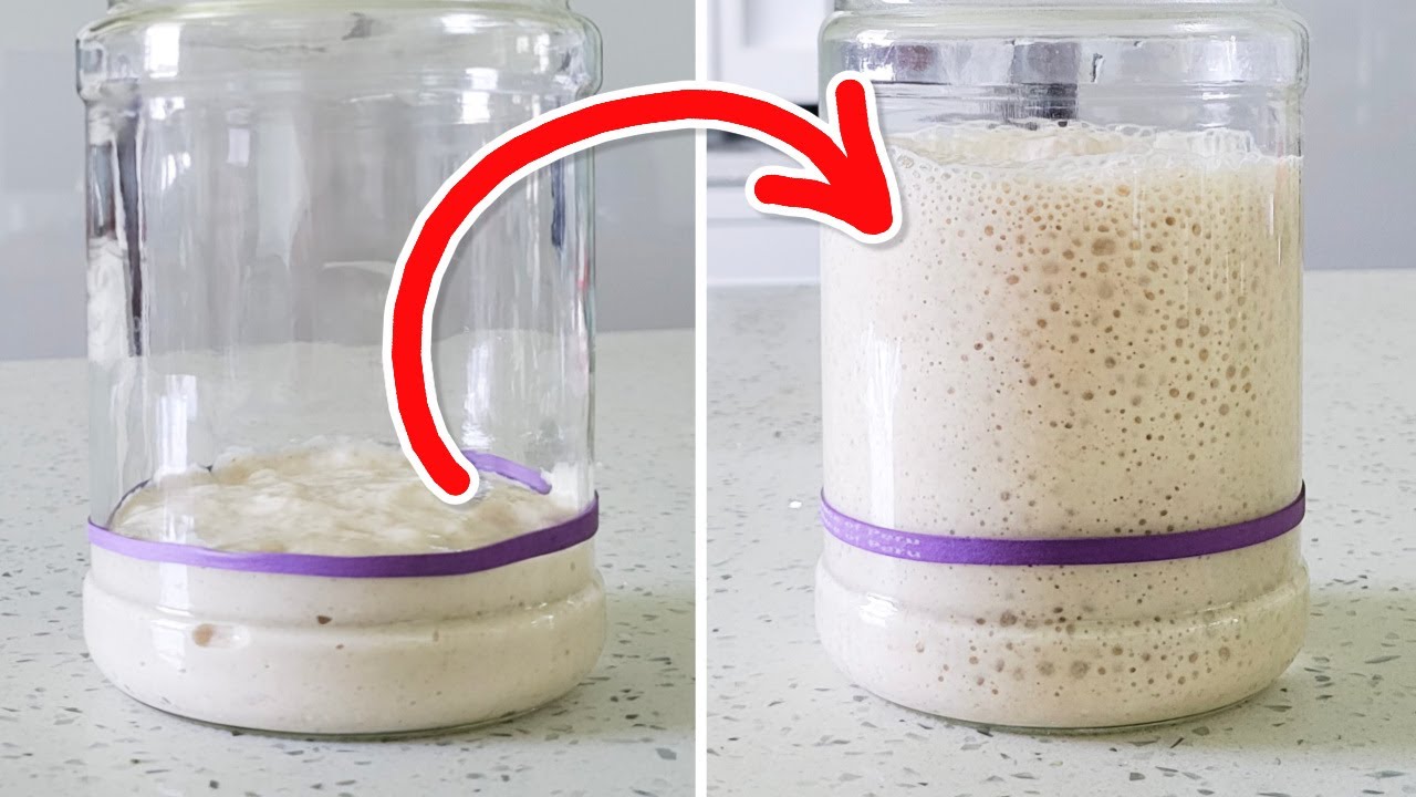 Full Proof Baking Sourdough Starter Kit | 1/2 Hour Guide Video (link) | Two  10oz Glass Smart Jars w/Thermometers, Rulers, Feeding Ratios | Digital