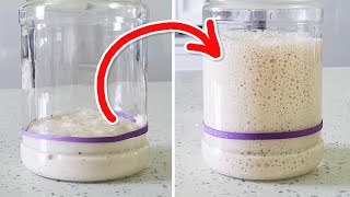 My FOOLPROOF Sourdough Starter Feeding Method 😎