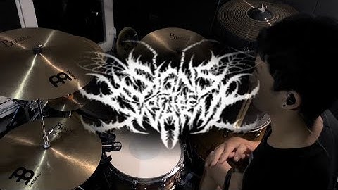 Signs of the swarm : Cesspool of Ignorance [ Drum cover ] by Armmy