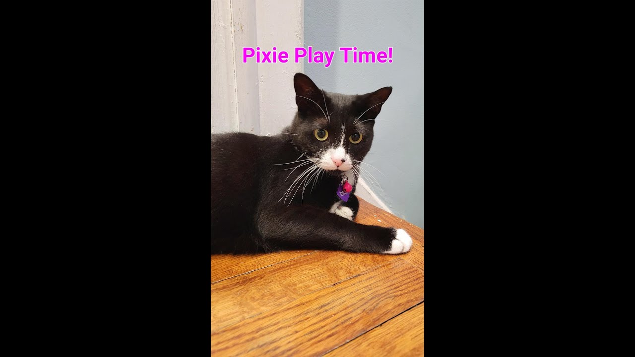 Fun with Pixie - YouTube