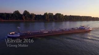 Eltville Am Rhein 2016