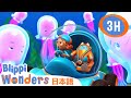 うみ | ブリッピーワンダーズ | 子供向け動画 | 人気アニメ