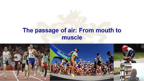 Oxygen uptake kinetics: An introduction