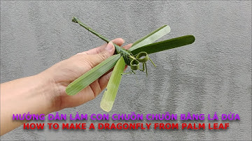 Hướng dẫn làm con chuồn chuồn bằng lá dừa