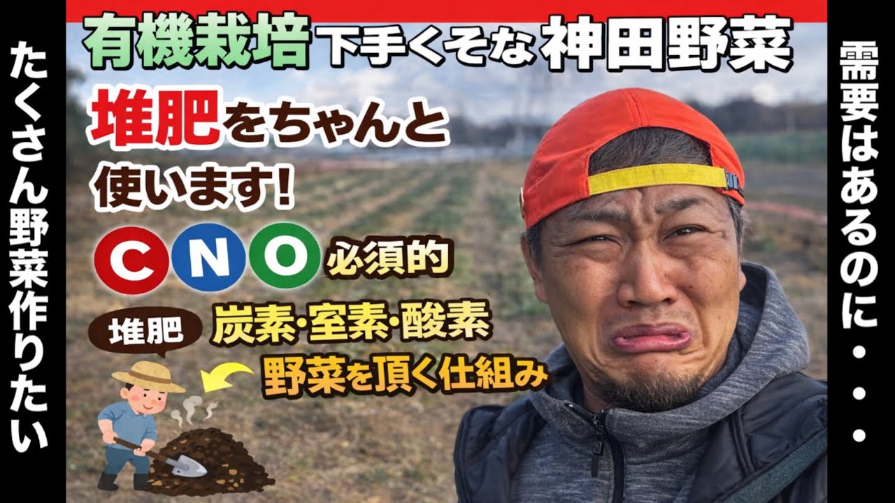 神田野菜が考える野菜作りに欠かせないもの。野菜は出来れば良いってもんじゃない事を理解出来てきました。