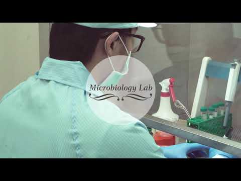 Taiwan Cosmetic Manufacturer - Amazing Modern Cosmetic Manufacturing Factories