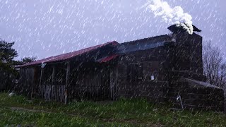 Living Alone in an Abandoned House in Heavy Rain - A Hot Night in Heavy Rain in an off-grid cabin