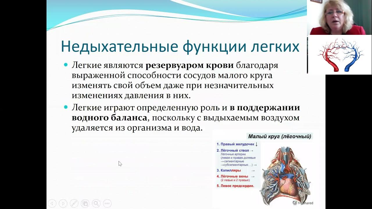 мультимедийное сопровождение это. дыхание лекции. биомеханика дыхания презентация. условно-рефлекторная регуляция дыхания.