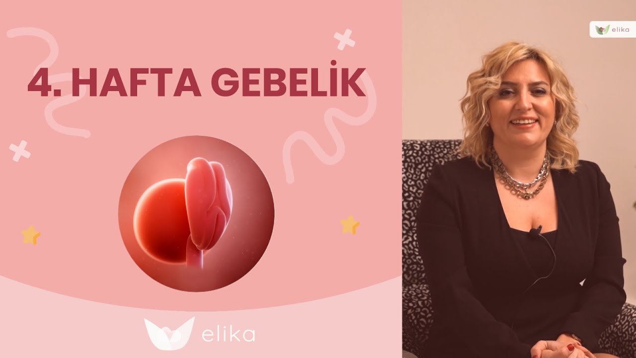 4.Hafta Gebelik - Gebelik Süreci - Elika Tv