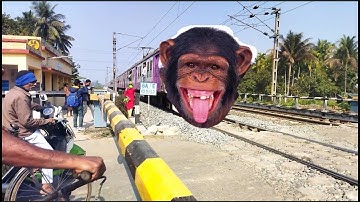 Chimpanzee Headed Howrah-Katwa Emu Local Train Dangerous & Furious Moving Out At Railgate