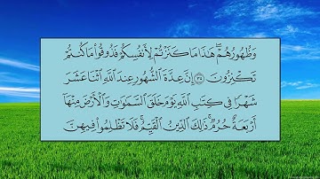 سورة التوبة (الآية 34 ~ الآية 40) -   بندر بن عبدالعزيز بليلة
