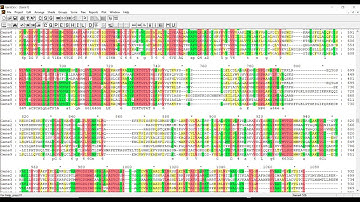 How to perform multiple sequence alignment in MEGA and GeneDoc for shading???