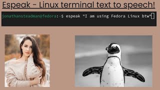 Espeak - Linux terminal text to speech! Profile