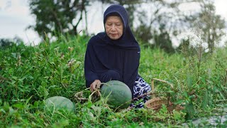 Memetik Semangka | Memasak Sayur Daun Singkong dan Mie Ganyong,  Peyek Teri, Tumis Kulit Semangka