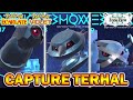 Capture terhal  metang  metalosse  pokmon violet  carlate  dlc disque indigo 