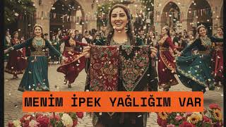 Menim İpek Yağlığım Var I Müzik Labirenti I Anatolian Music Cover