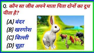 GK Question | GK In Hindi | GK Question and Answer |GK GYAN STUDY |  #viralvideo #gkquiz #gk