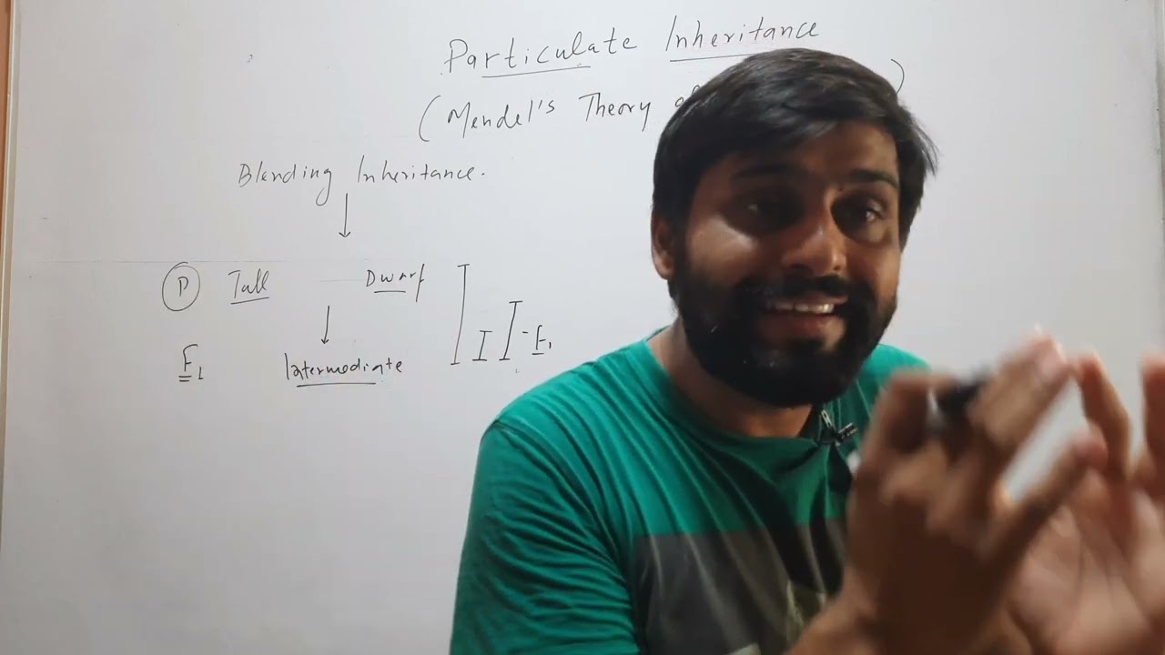 Mendel की theory of Inheritance क्या है? Particulate Inheritance theory क्या है?