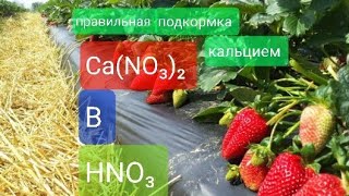 видео: Кальциевое удобрение для клубники картинка: Кальциевое удобрение для клубники