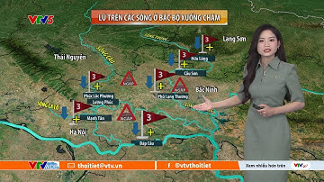 Dự báo thời tiết ngày mai 11/10/2025 | Lũ trên các sông Bắc Bộ xuống chậm | VTVWDB