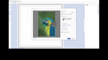 How to Use the Enhanced Image Tracing