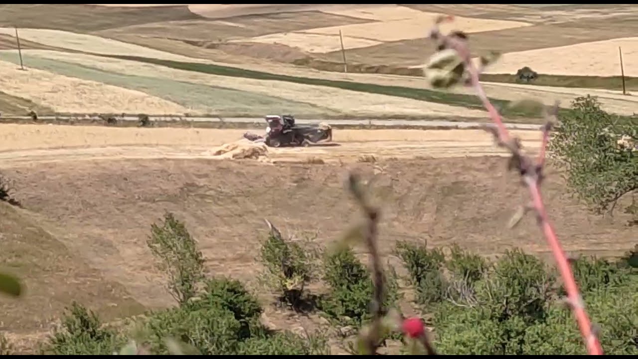 Իմ համայնքը՝ Գոգհովիտ