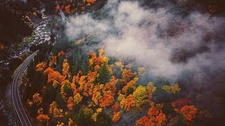 California Fall Colors: Plumas County 2017 Aerial Video Profile