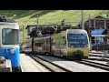 14 Juillet 2012 : En gare de Zweisimmen (BE, CH) 1