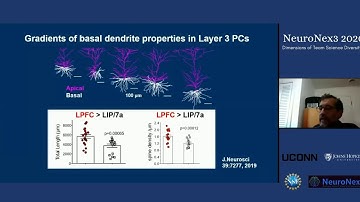 NeuroNex3: Session 4: Mental Representation
