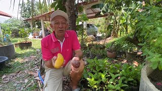 Mango and Passion fruit jam from Thai Botanical garden, Ep.16