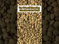 Top 10 Lentil Exporting Countries in the World🌍#top10