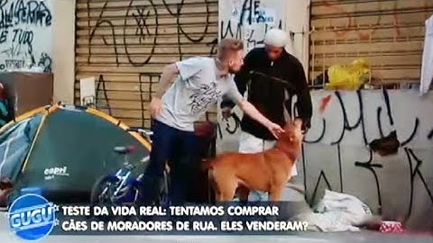 ME VENDE SEU CACHORRO?! (TESTE DA VIDA REAL)