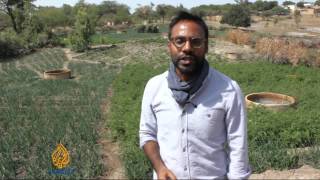 Senegal solar panels provide farming water