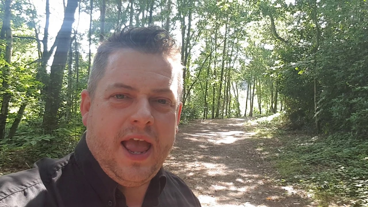 National Dog Photography Day 2019