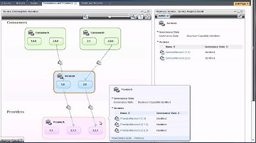 Service Consumption Visualizer Widget in WebSphere Service Registry and Repository V8.0