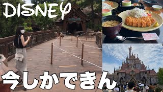 【期間限定】ディズニー無敵の楽しみ方をやっていこうぜ