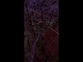 Meta Quest Broadcast | Powered by LIV