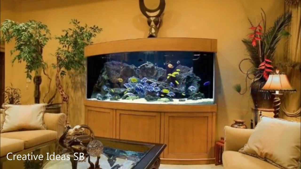 40 amazing aquarium fish ideas 2016 - creative home design fish 40 amazing aquarium fish ideas 2016 - creative home design fish
