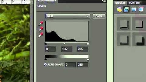 Using the Levels Function in Photoshop and PSE