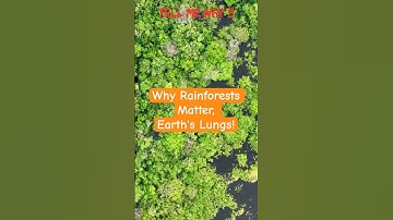 Why Rainforests Matter, Earth
