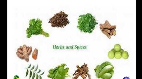 VCP-std8-sem2-Unit4-Epi-9(53)-Act6(A)-23022017