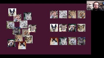 Training StyleGAN2-ADA Week 3 (Conditional Models, Inference: Generating Images and Video)