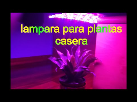 Video: Tira De LED Para Plantas: ¿qué Tipo De Cinta Fito UV Elegir Para Resaltar Flores? Tiras De Diodos De Espectro Completo Y Otros Modelos De LED