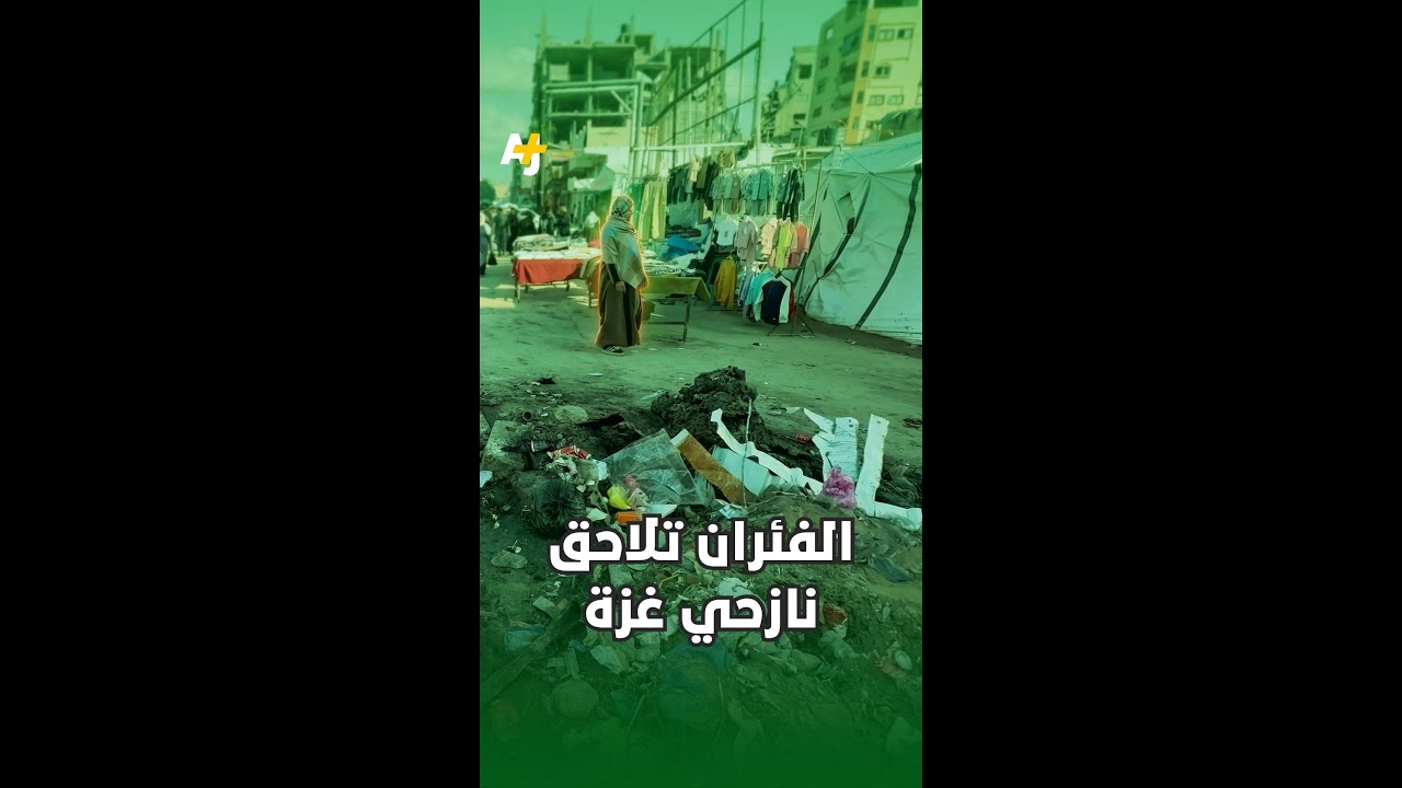 الفئران تلاحق نازحي غزة
