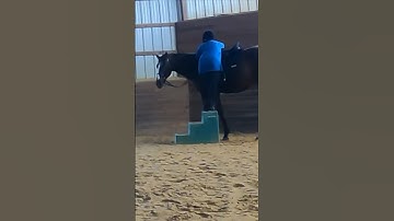 OTTB Training: Standing Still at the Mounting Block #horsetraining #equestrian