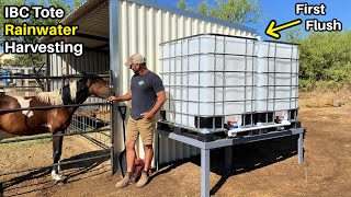 Rainwater Harvesting System For the Horse   DIY First Flush and IBC Totes