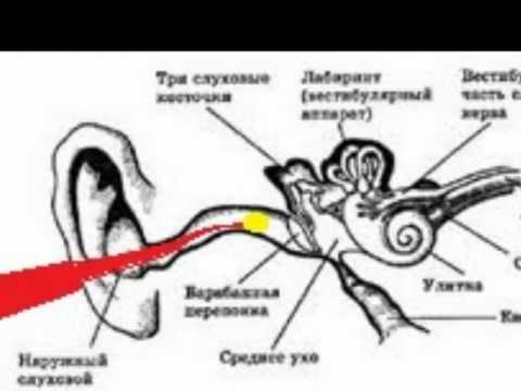 КАК ИЗВЛЕЧЬ ВОДУ ИЗ УХА